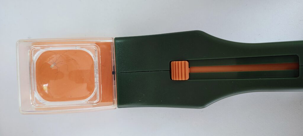 ловушка BugView