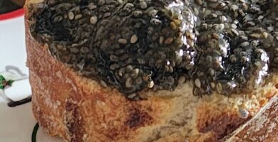 ерная икра из семян чиа и нори